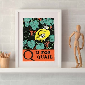 Impresión de pájaro enmarcada, Q es para impresión del alfabeto de codorniz, impresión de letra Q, alfabeto ilustrado ABC Impresión de arte de pájaro, arte de codorniz de regalo Q inicial