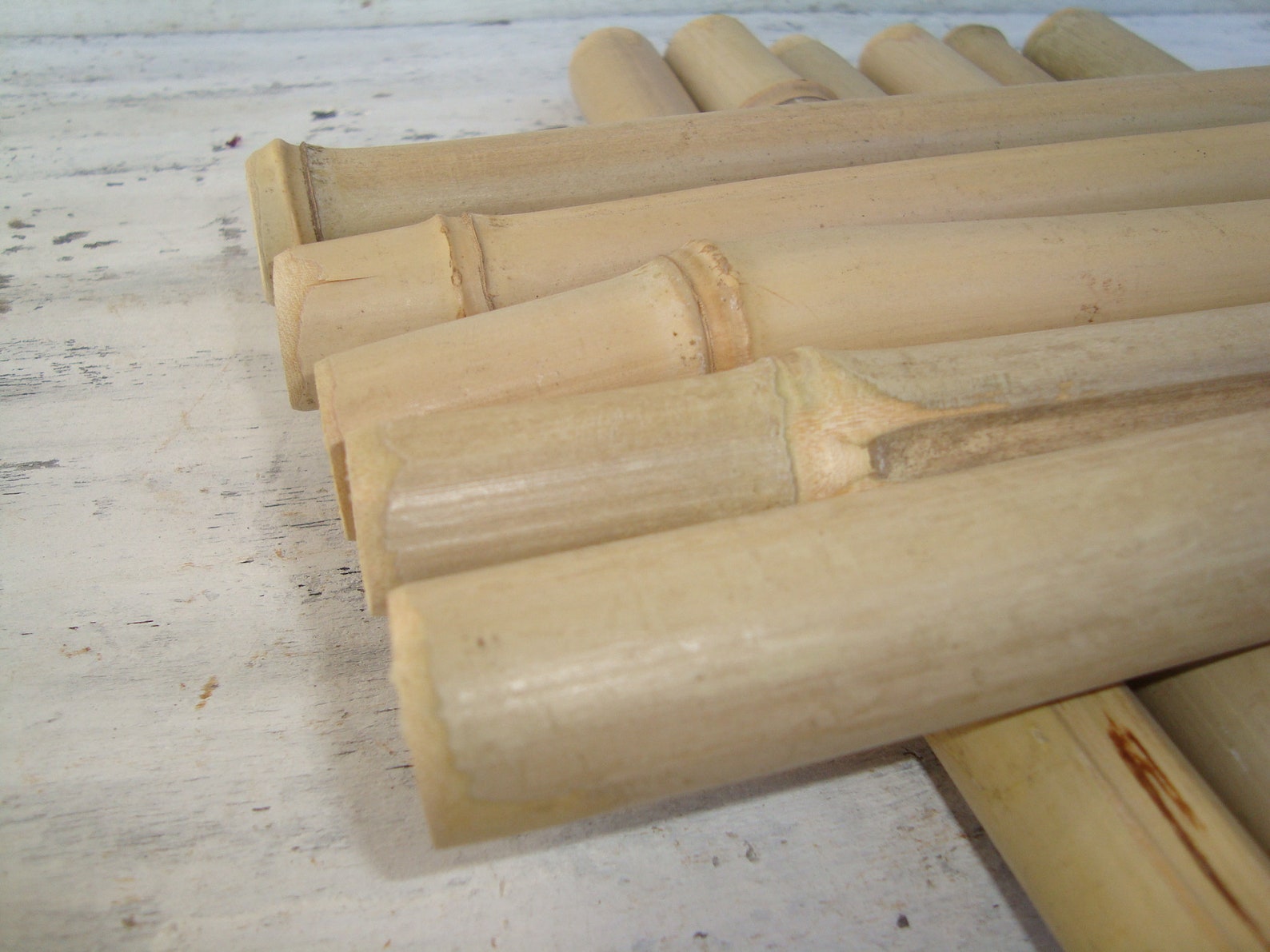 Bamboo Sticks 10 Bamboo for Crafts Wood for Crafts Green Etsy