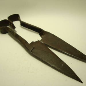 Cesoie per pecore d'epoca Forbici per pecore vintage Forbici per pecore antiche Cesoie per pecore arrugginite Tosche per pecore primitive Strumento agricolo Vecchio strumento Forbici d'epoca