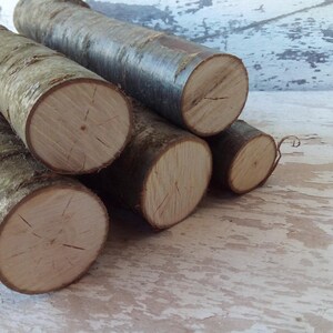 May include: A pile of five natural wood logs with bark, stacked on a white wooden surface. The logs are cut into rounds and have a natural, rustic look.