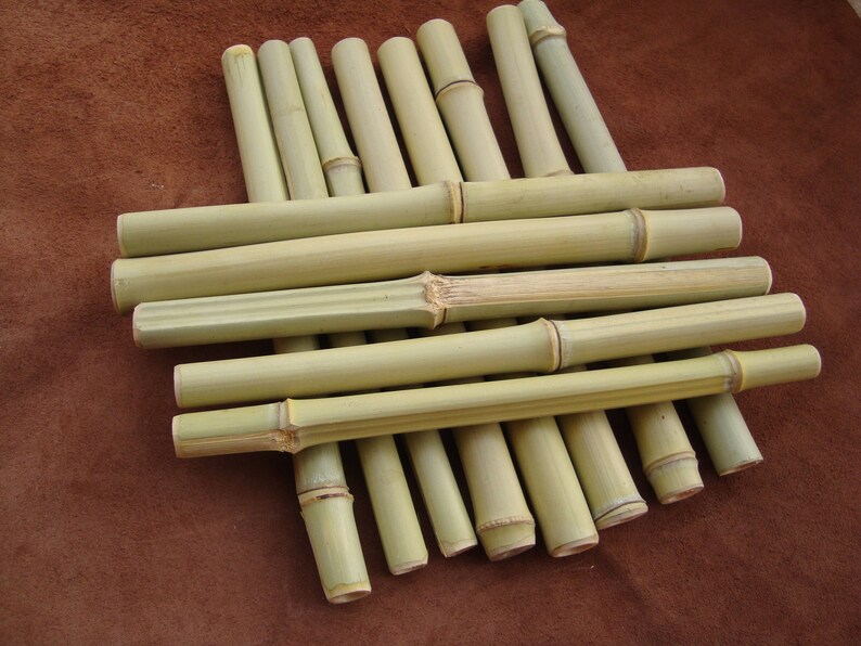 Bamboo Sticks 12 Bamboo For Crafts Wood For Crafts Green Etsy