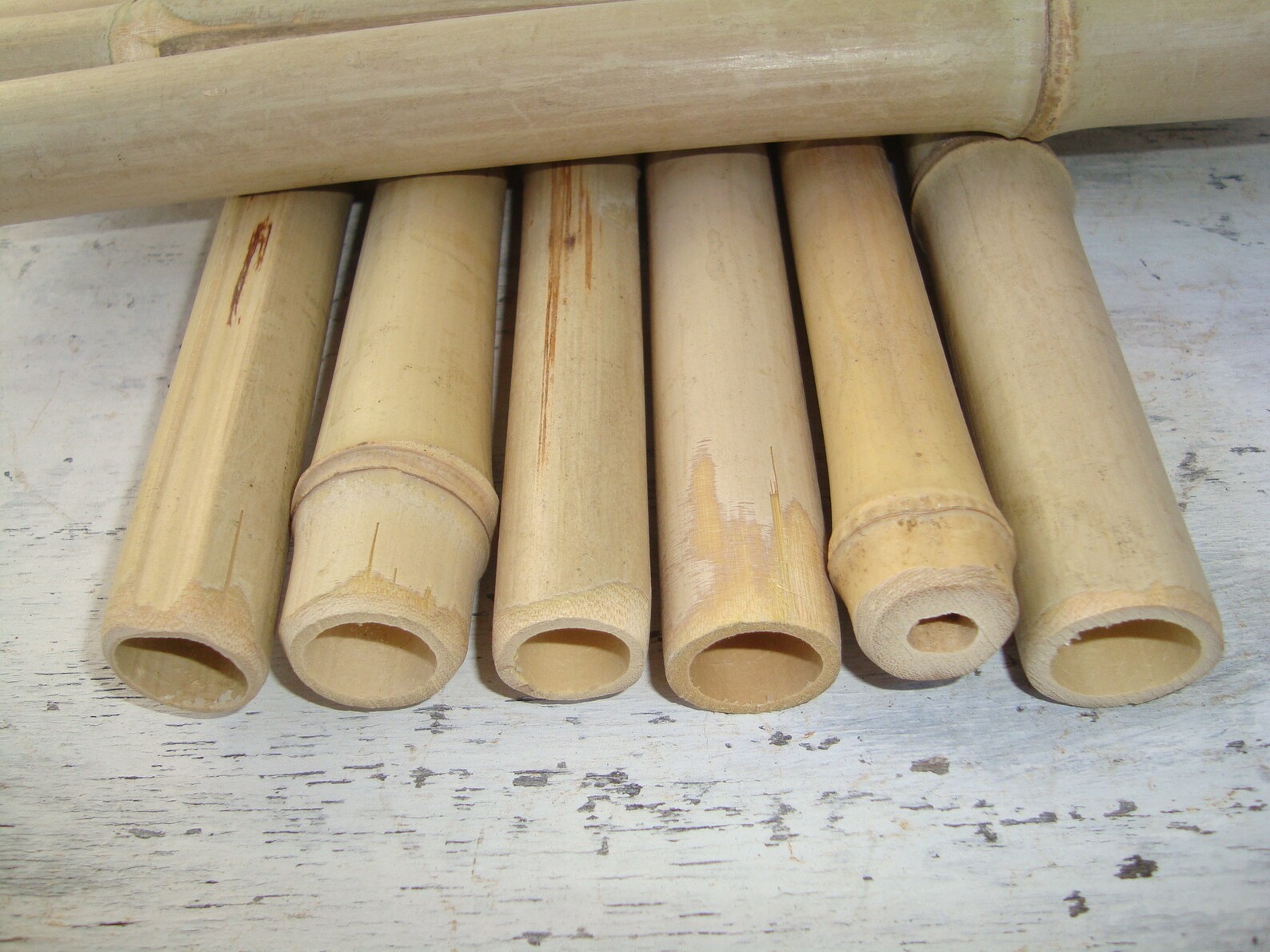 Bamboo Sticks 10 Bamboo for Crafts Wood for Crafts Green Etsy