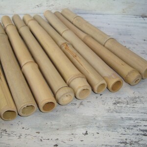 Op de afbeelding: Een groep van 10 natuurlijke bamboestokken, allemaal met dezelfde lengte en diameter, gerangschikt in een halve cirkel op een wit houten oppervlak.
