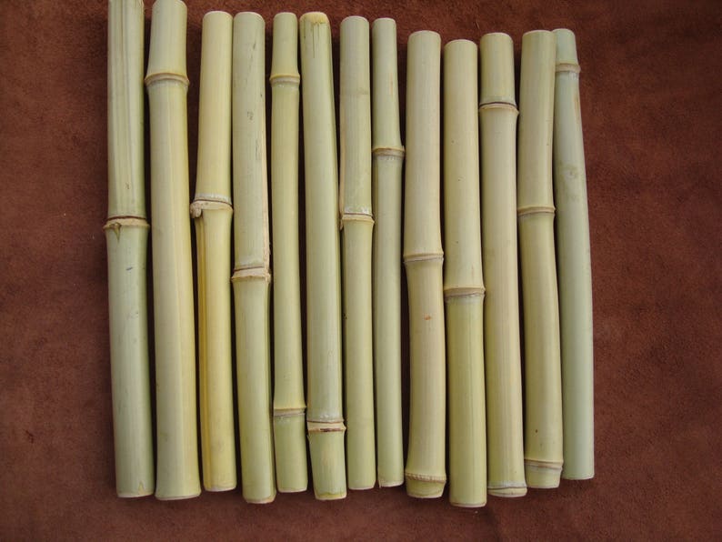 Bamboo Sticks 12 Bamboo For Crafts Wood For Crafts Green Etsy