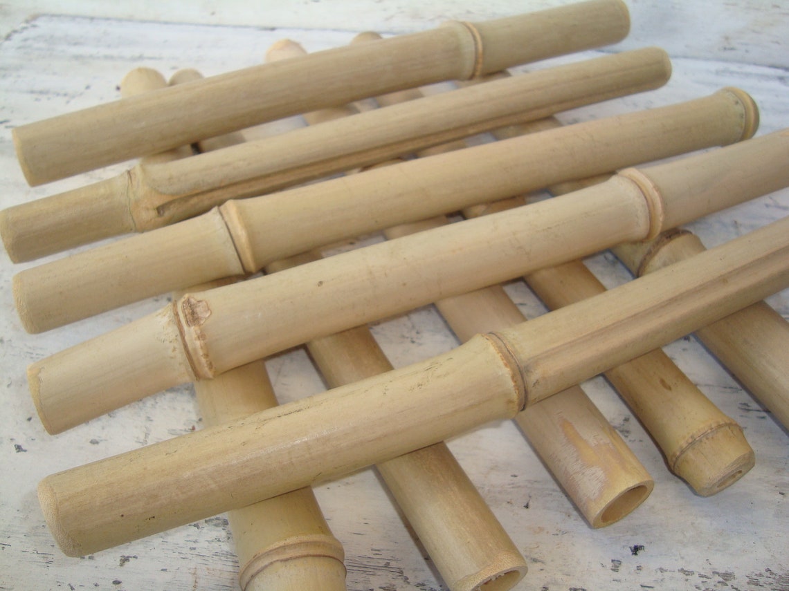 Bamboo Sticks 10 Bamboo for Crafts Wood for Crafts Green Etsy