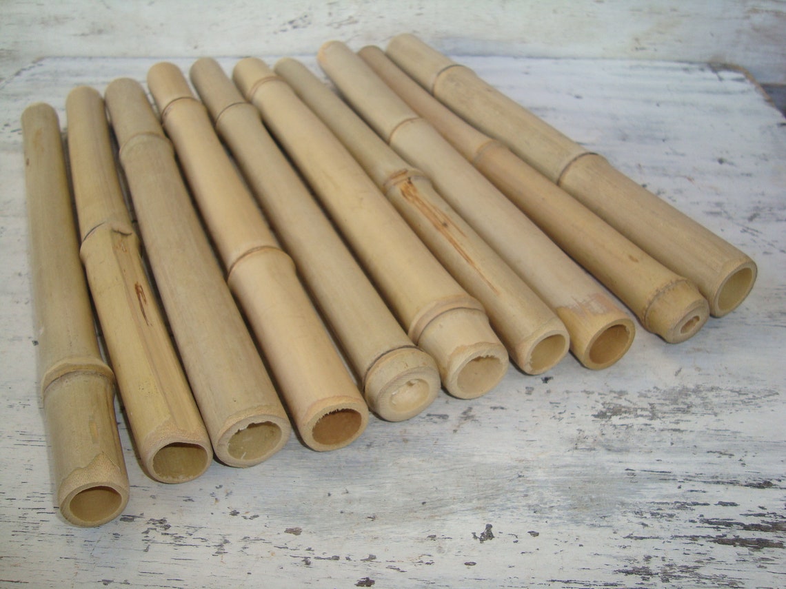 Bamboo Sticks 10 Bamboo for Crafts Wood for Crafts Green Etsy