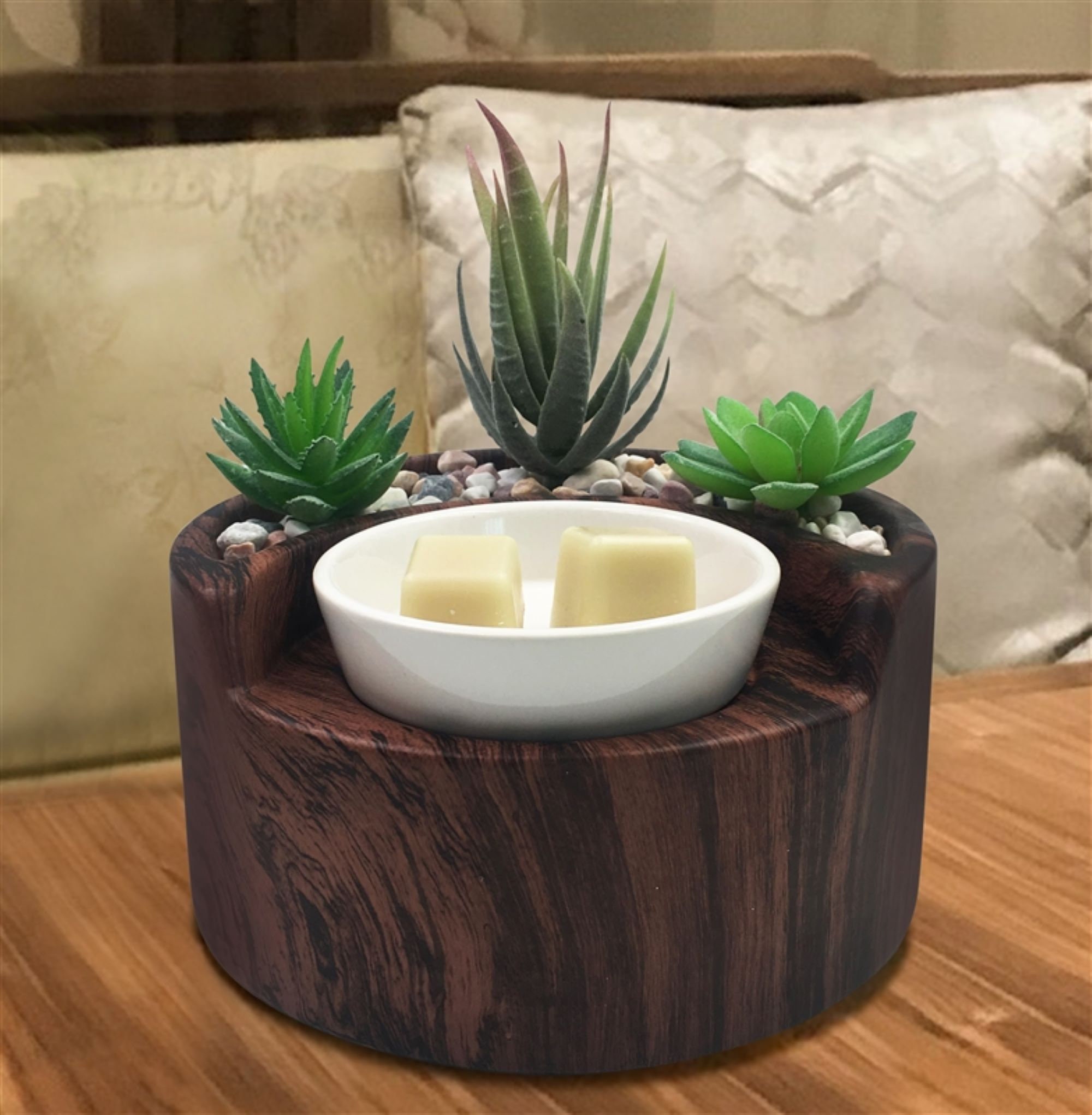 Walnut Succulent garden Wax Warmer Electric Etsy
