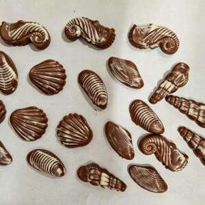 May include: A collection of milk chocolate sweets shaped like various seashells, including conch, scallop, and spiral forms. Each piece features decorative white chocolate drizzle accents that highlight the textured ridges and curves of the shells.