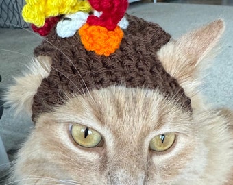 Small Dog Hat Thanksgiving Turkey PDF Pattern