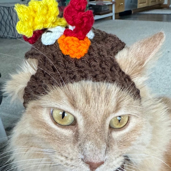 Small Dog Hat Thanksgiving Turkey PDF Pattern