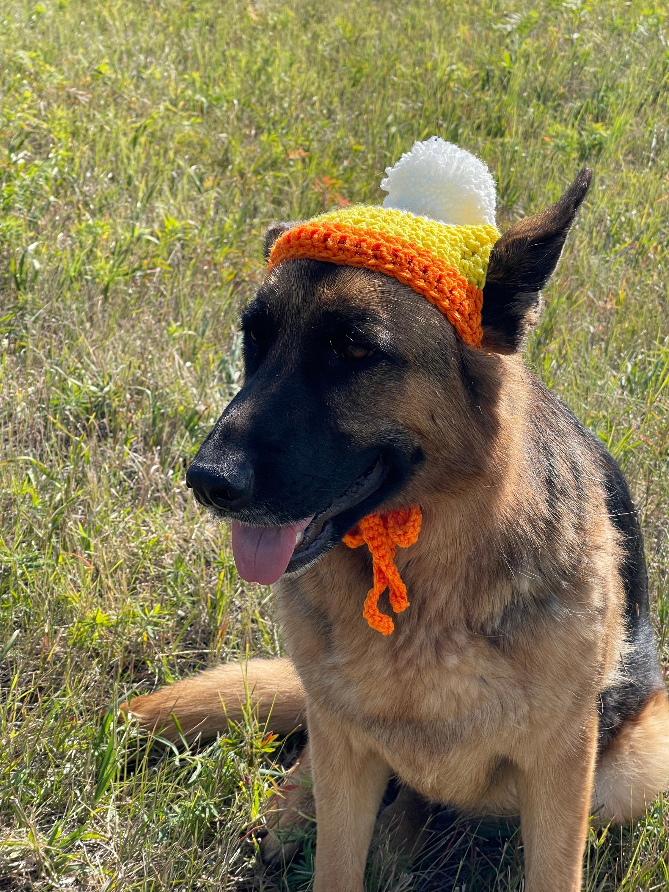 Large Crochet Dog Beanie PDF Pattern Etsy