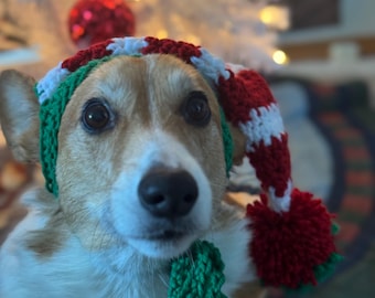 Crochet Dog Elf Hat Crochet Pattern PDF XS-L