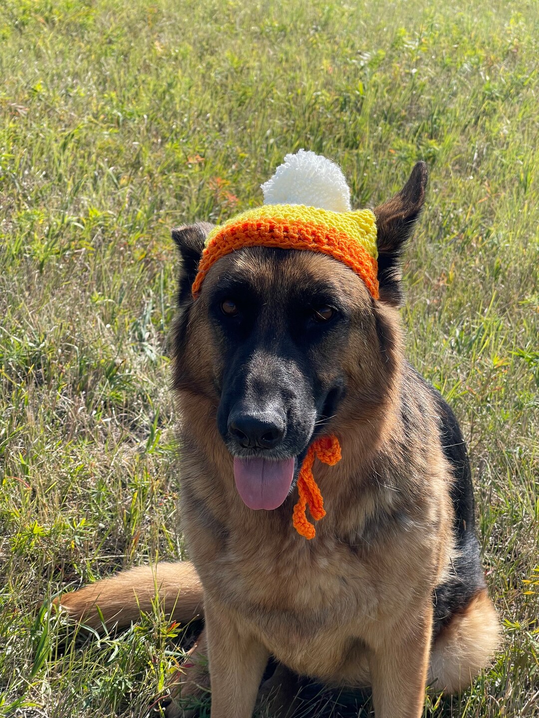 Large Crochet Dog Beanie PDF Pattern Etsy