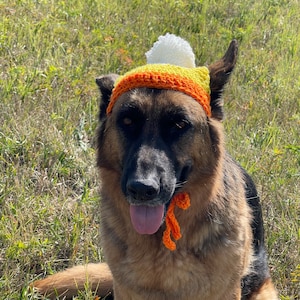 Large Crochet Dog Beanie PDF Pattern