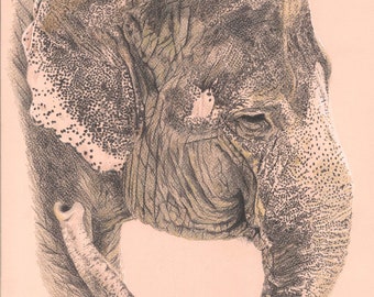 Elephant, elephants, pink elephant, pencil drawing, colour pencils, art print, limited edition