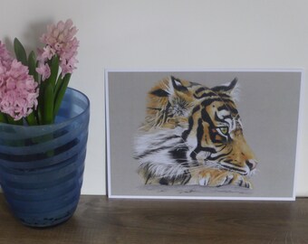Tiger, zoo animal, big cat, Alert Tiger, Chessington, wildlife print, colour pencils, art print, limited edition, Giantmousie