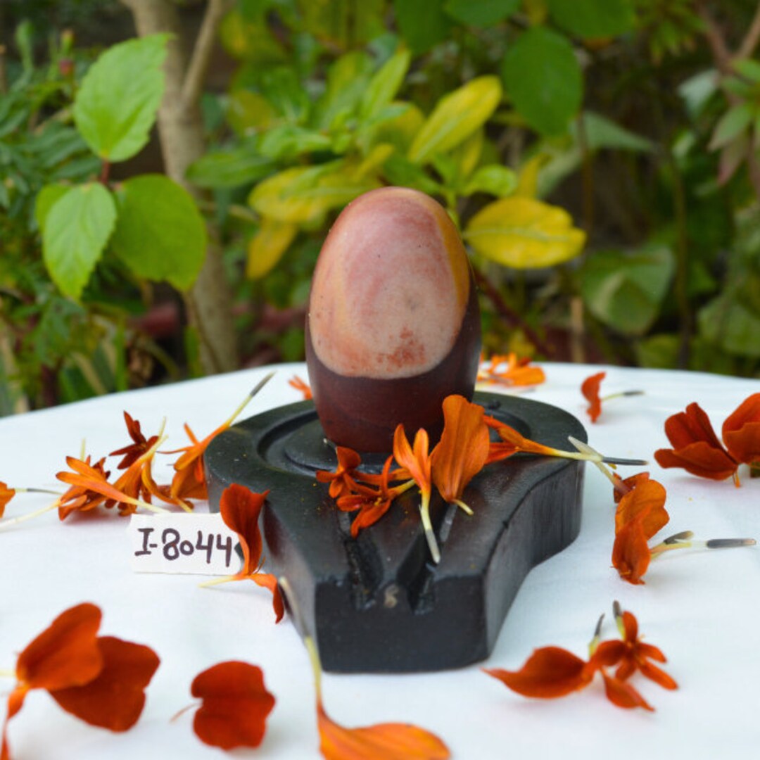 Shiv Roop Tantaric Tantric Tilak Shiva Lingam 2 Inches, Rare Narmadeshwar With 4inch ...