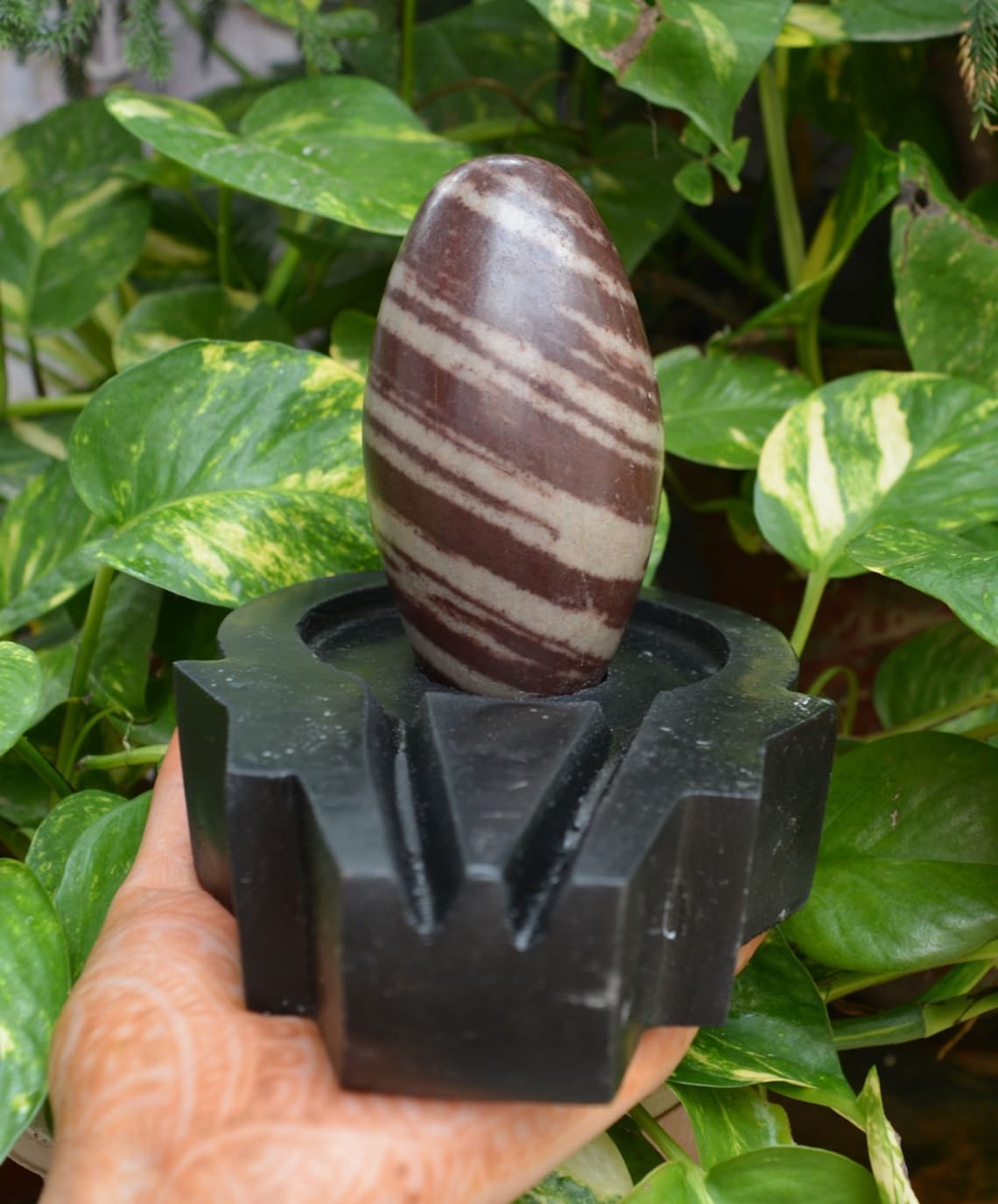 6 Handmade Black Stone Yoni Base with 4 Rare Etsy