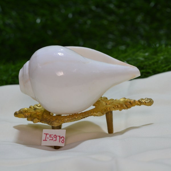 Pooja  Sound  God  Shankh Conch  Shell  4.5"Inch  With 5.5" Brass  Stand  Hindu  Worship Crysta Polished Conch Shell White Shankha   =i-5973