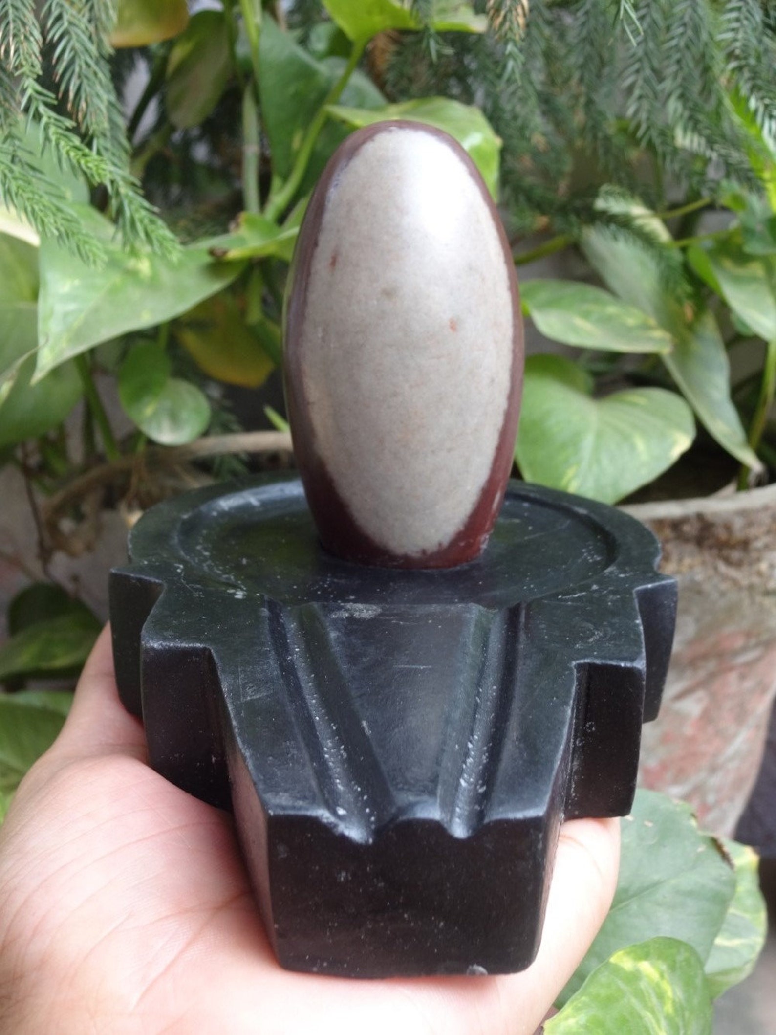 6 Handmade Black Stone Yoni Base with 3.5 Rare Etsy