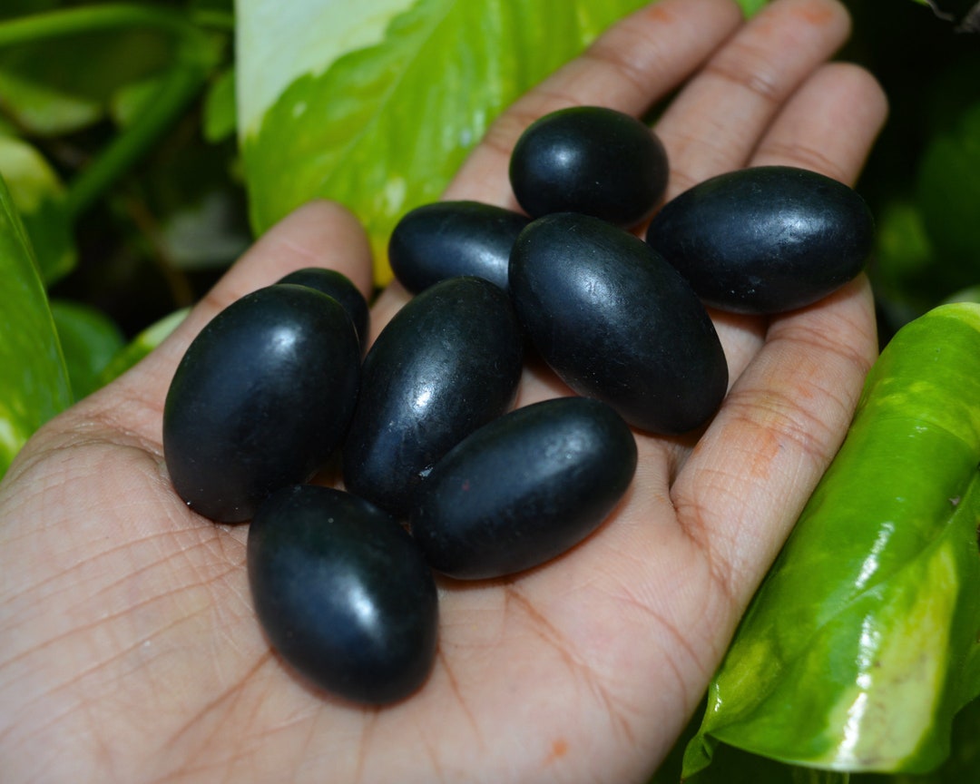 1 Inch Mix Black Shiva Lingam Lingham Narmada River - Etsy