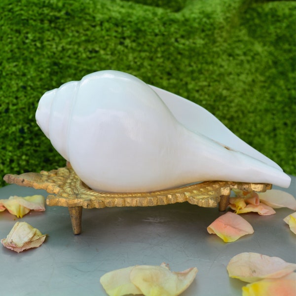 Natural Original White Puja Blowing Shankh Conch Shell Hindu Religion Pooja And  Mandir Use With  Brass Golden beatuiful Stand Sound Shankh