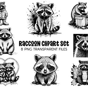 Waschbär Umriss PNG Bündel | Süß aber wildes Shirt Sublimation | Niedliches Waschbär-Liebhaber-Geschenk | Cricut Cut-Datei | Kommerzielle Nutzung erlaubt | Digital