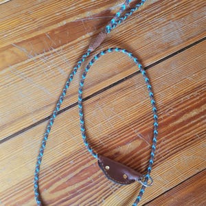 Custom Slip Collar Dog Lead