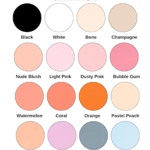 May include: A chart of 12 acrylic paint colors in matte finish. The colors are: black, white, bone, champagne, nude blush, light pink, dusty pink, bubble gum, watermelon, coral, orange, pastel peach, apricot, light purple, slate blue, and light blue.