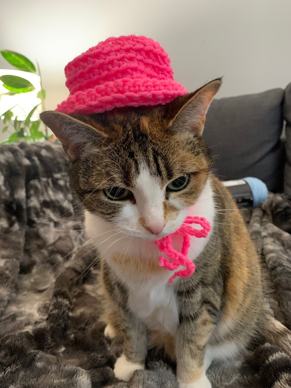 Hand crocheted cat bucket hat Etsy