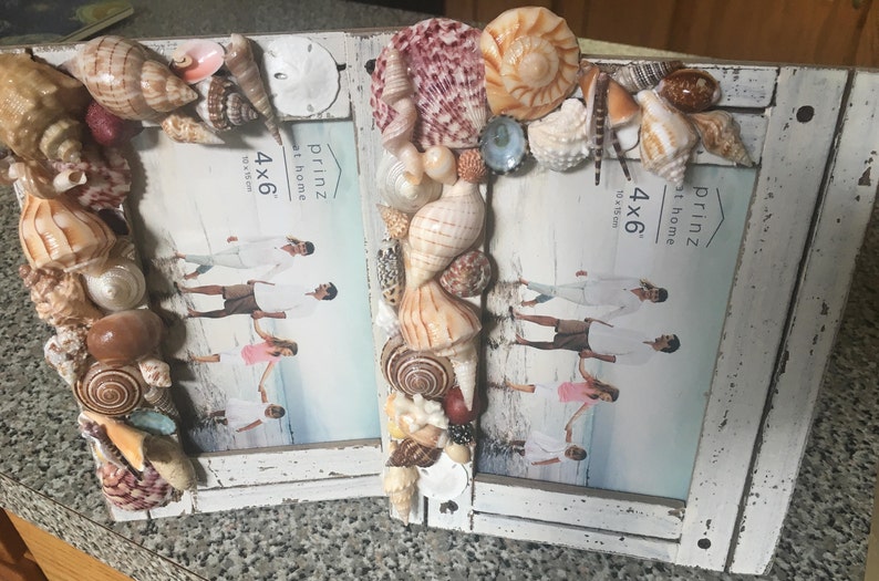 Seashell Frames Etsy
