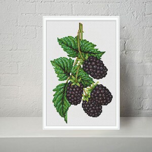 Blackberry modern cross stitch pattern PDF - Instant download.