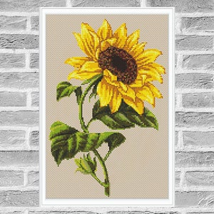 May include: A cross-stitch pattern featuring a single sunflower with yellow petals and a brown center. The sunflower is depicted with green leaves and a stem.