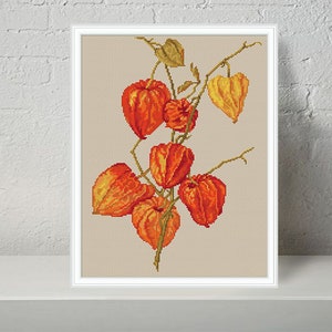 Physalis modern cross stitch pattern, Physalis PDF - Instant download.
