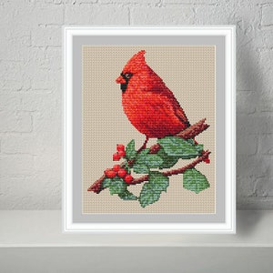 May include: A red cardinal bird perched on a holly branch with green leaves and red berries. The bird is facing left and has a black eye.