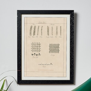 Puede incluir: Una ilustración en blanco y negro enmarcada de diferentes tipos de tejidos de tela. La ilustración se titula "Lectie No. 1" e incluye los nombres de las telas, como "Lana", "Seda" y "Algodón".