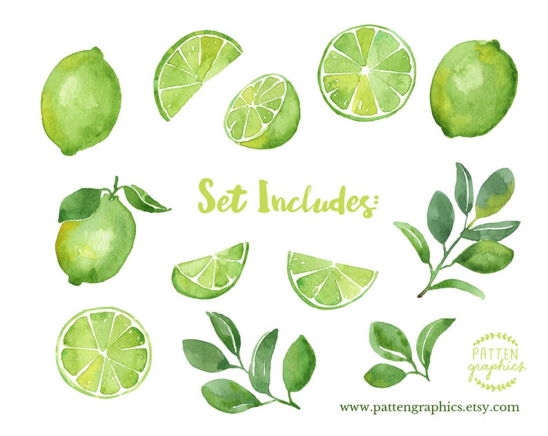 Op de afbeelding: Waterverf illustraties van limoenen en limoenpartjes, met groene bladeren. De set bevat verschillende vormen en maten limoenen, waaronder hele limoenen, limoenpartjes en limoenhelften. De tekst "Set Includes:" is in groen geschreven.
