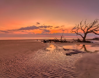 Driftwood Beach Dawn