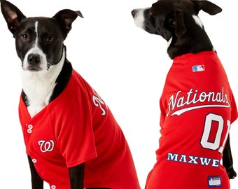 nationals dog jersey