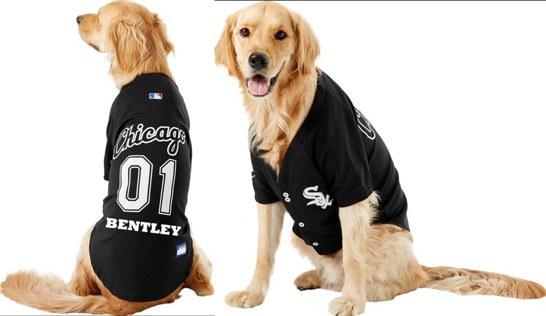 dog tigers jersey