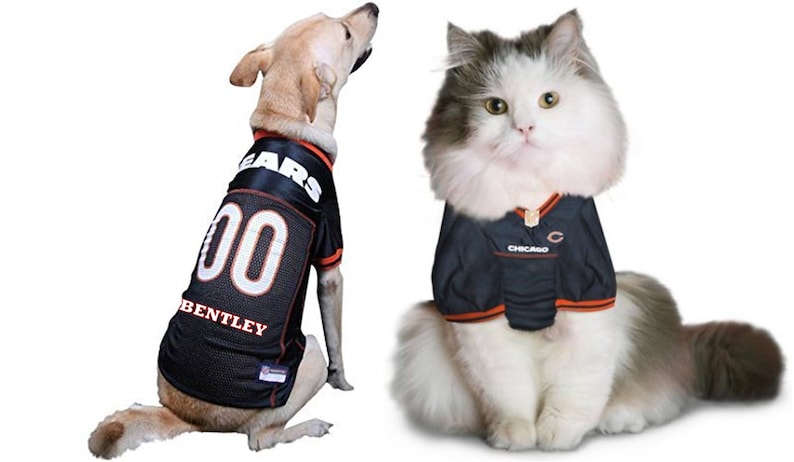 chicago bears pet jersey