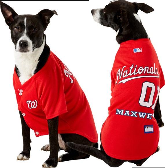 nationals dog jersey