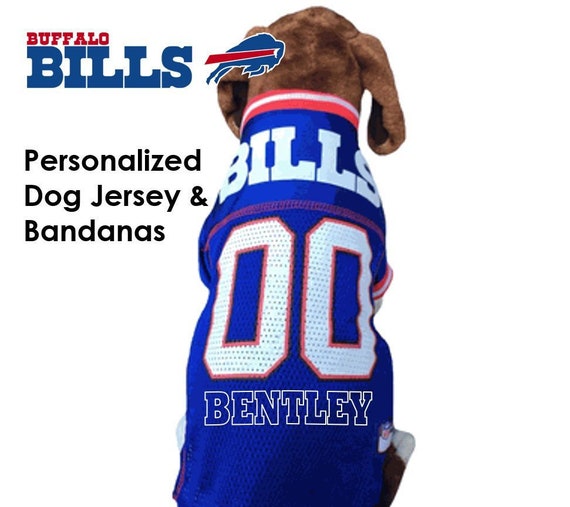 dog buffalo bills jersey