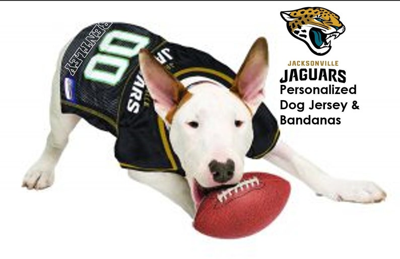 jacksonville jaguars dog jersey