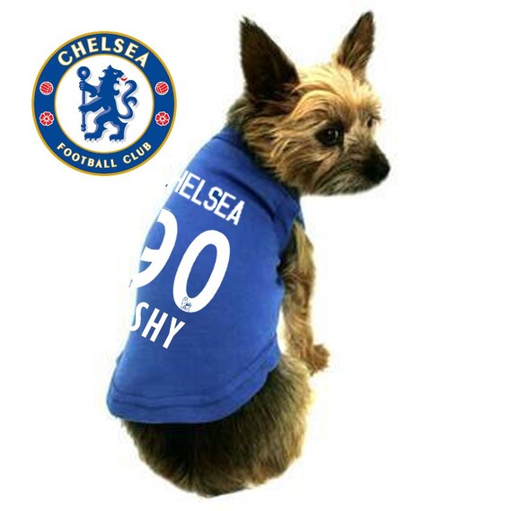 chelsea fc dog jersey