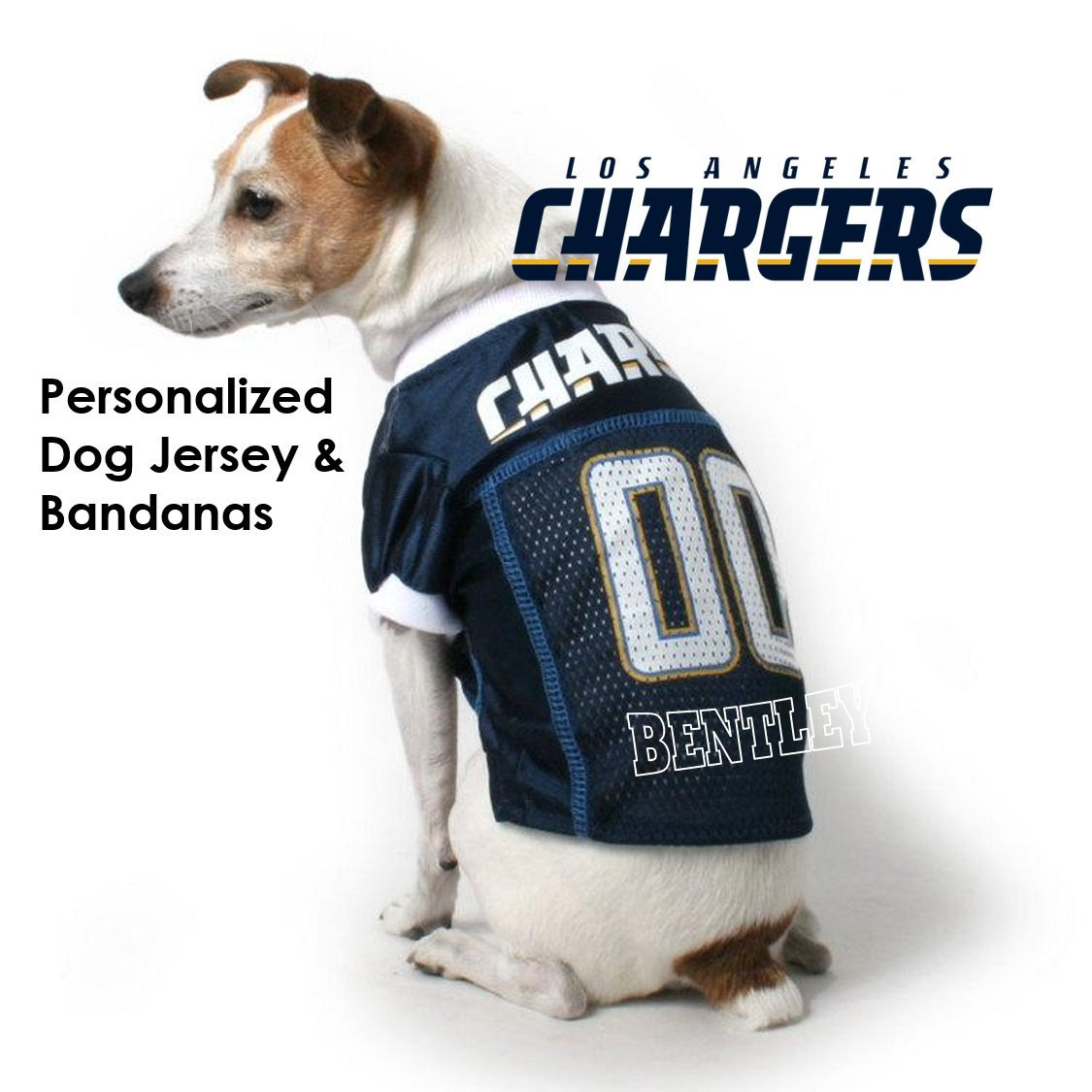 chargers pet jersey