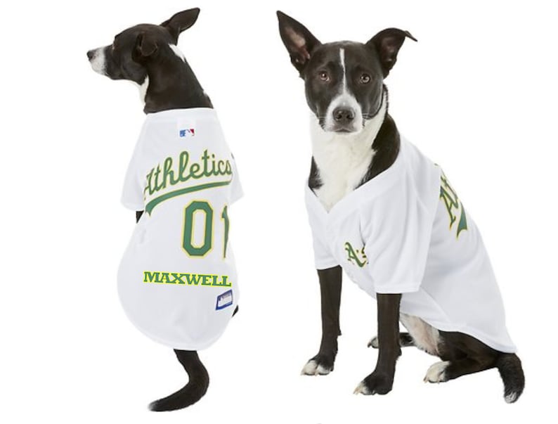 oakland a's dog jersey