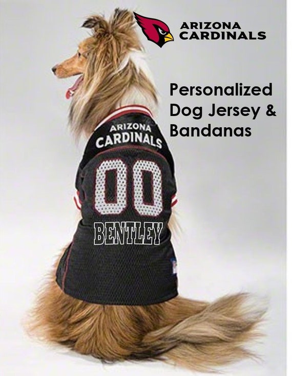 arizona cardinals dog jersey