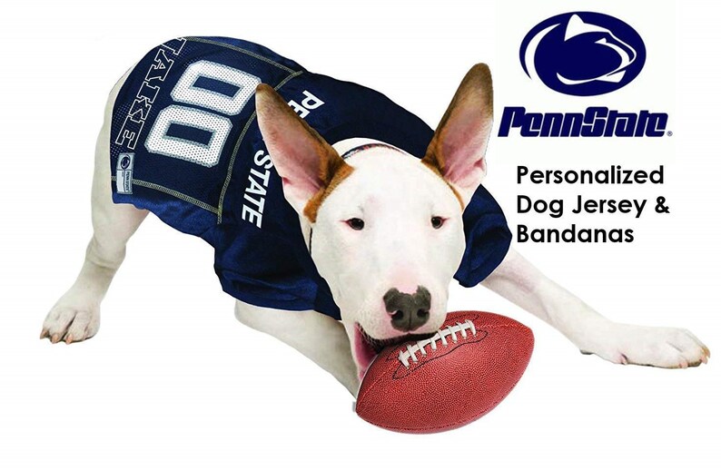 penn state pet jersey