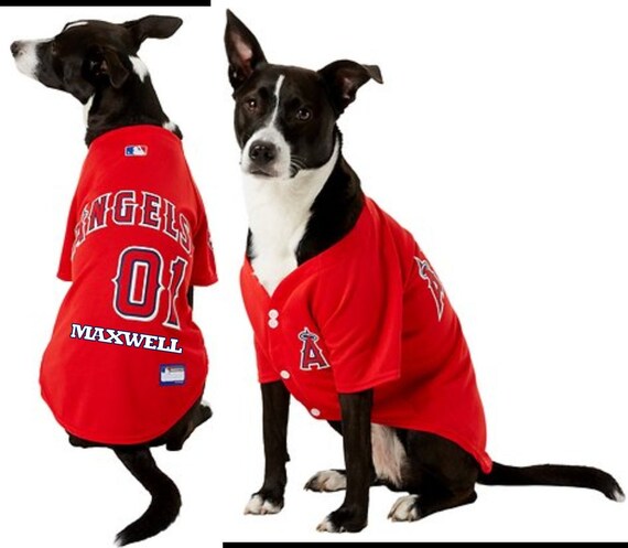 pet angels jersey